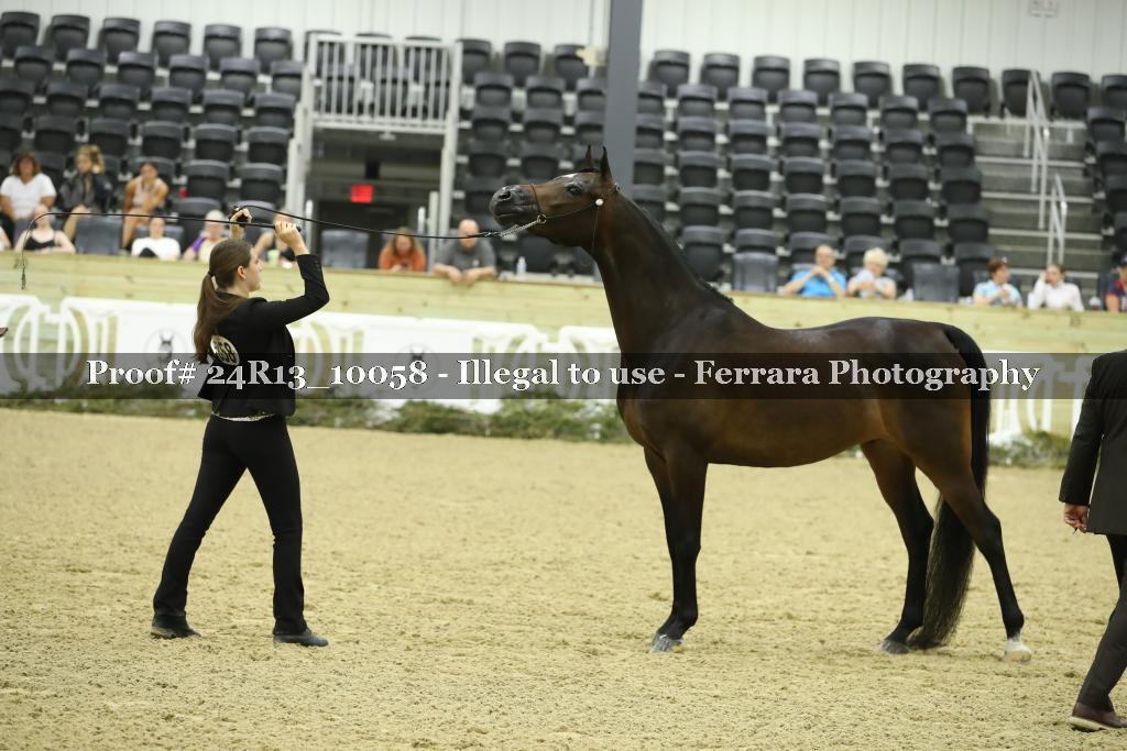 Proof 24R13_10058