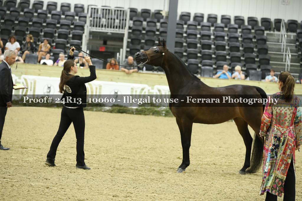 Proof 24R13_10060