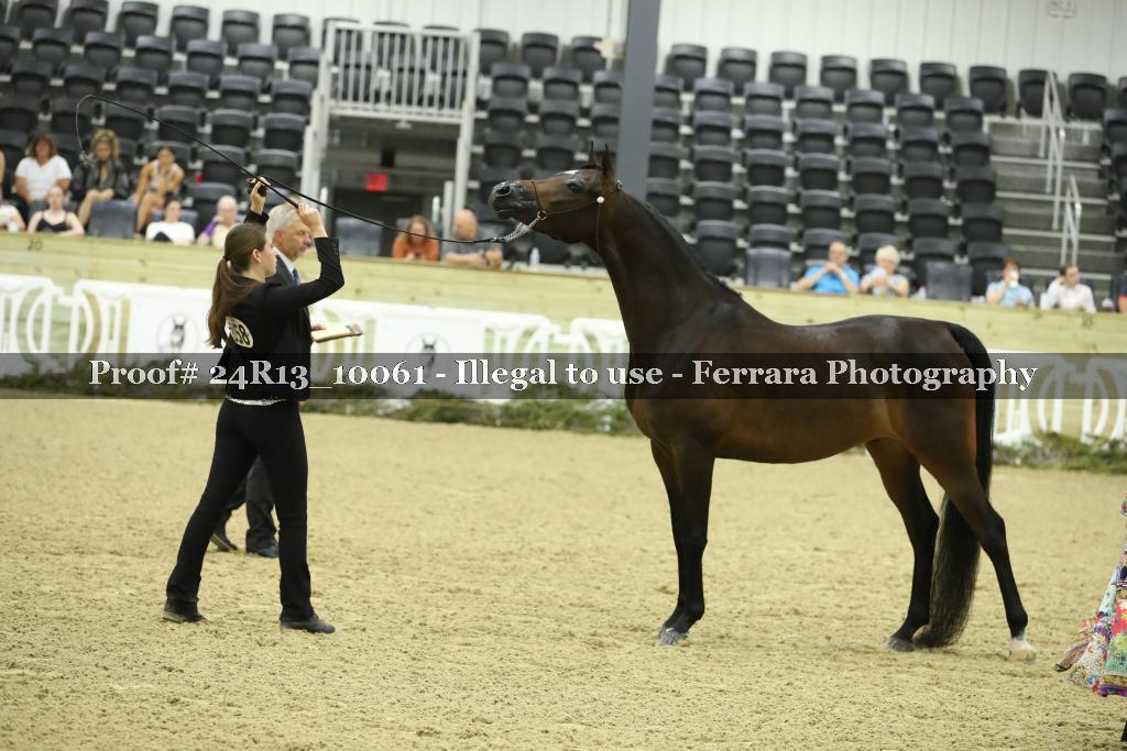 Proof 24R13_10061