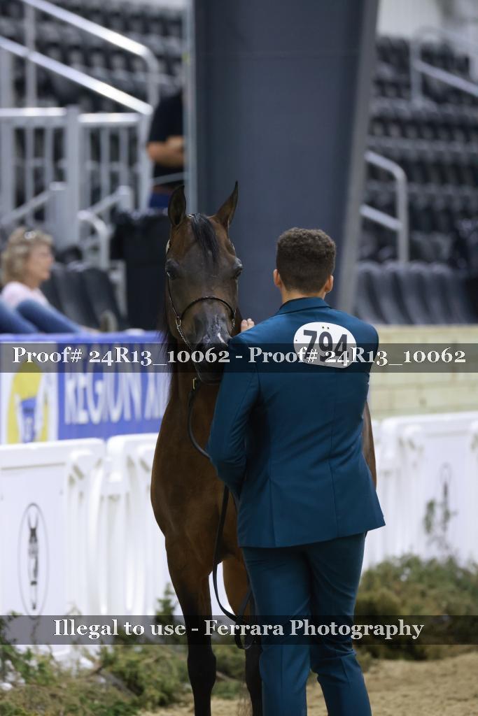 Proof 24R13_10062