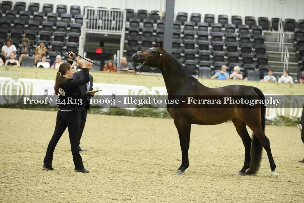 Proof 24R13_10063