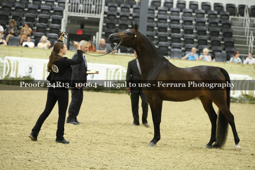 Proof 24R13_10064