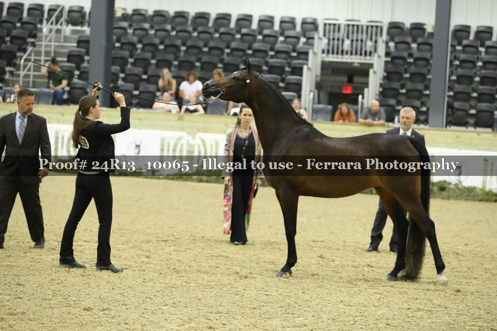 Proof 24R13_10065