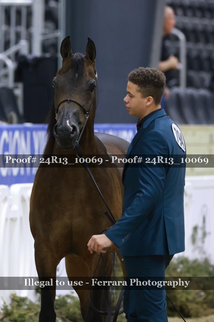 Proof 24R13_10069
