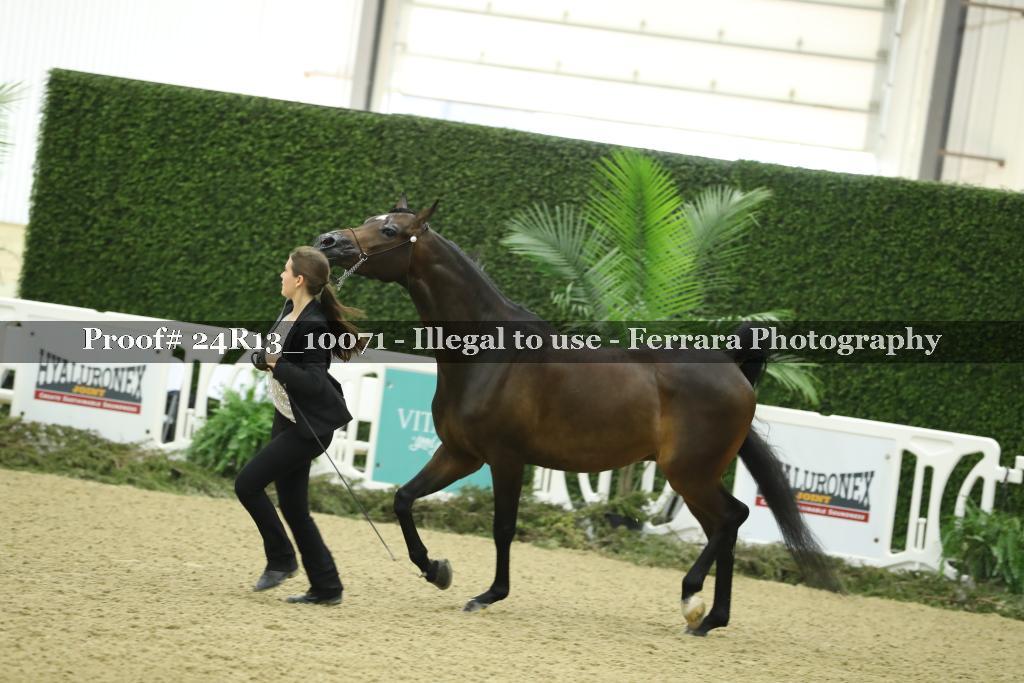 Proof 24R13_10071