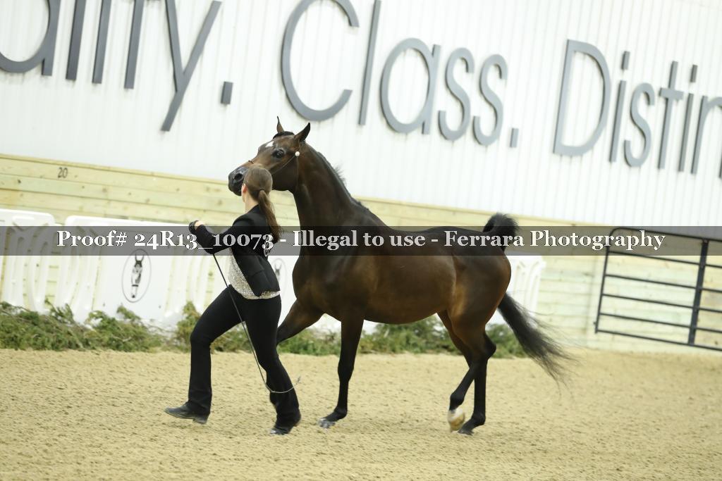 Proof 24R13_10073