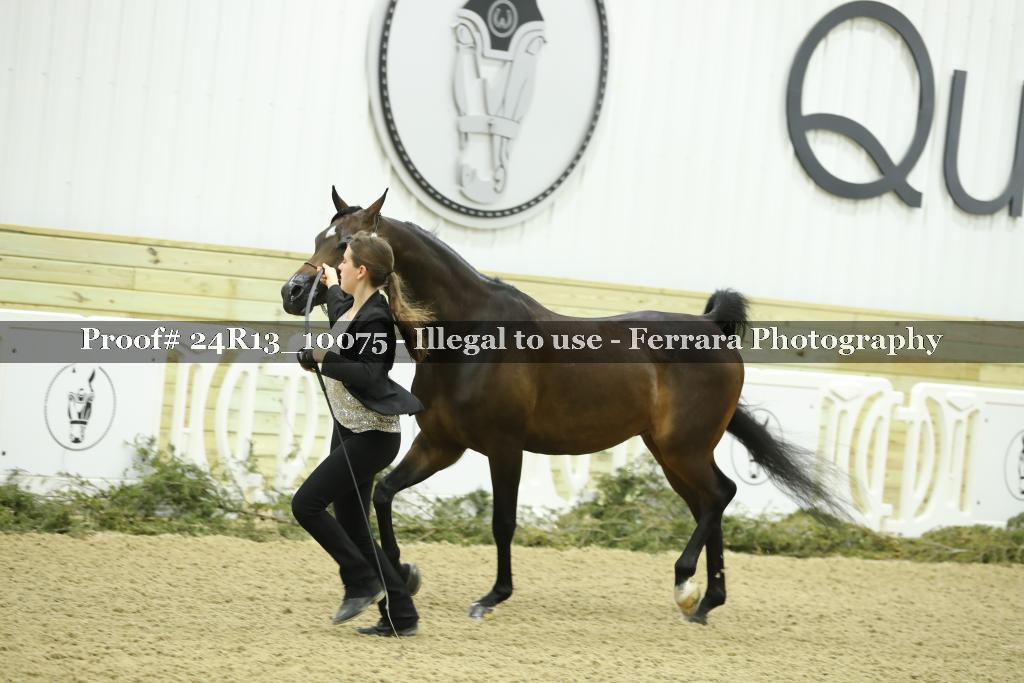 Proof 24R13_10075