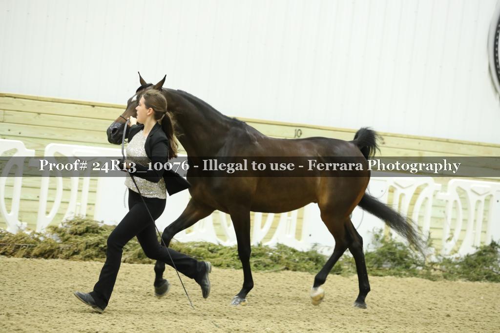 Proof 24R13_10076