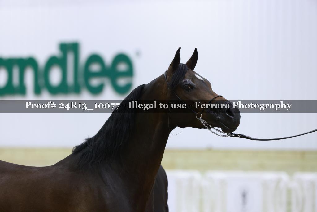 Proof 24R13_10077