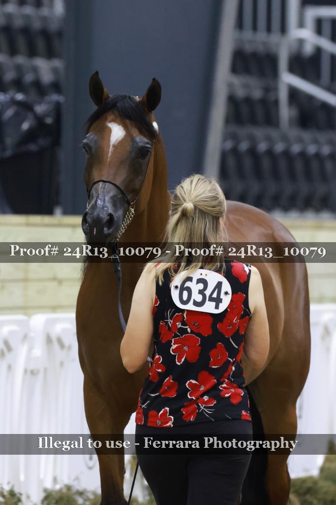 Proof 24R13_10079