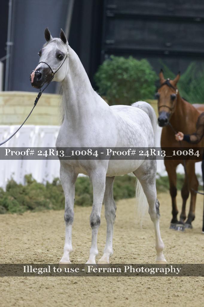 Proof 24R13_10084