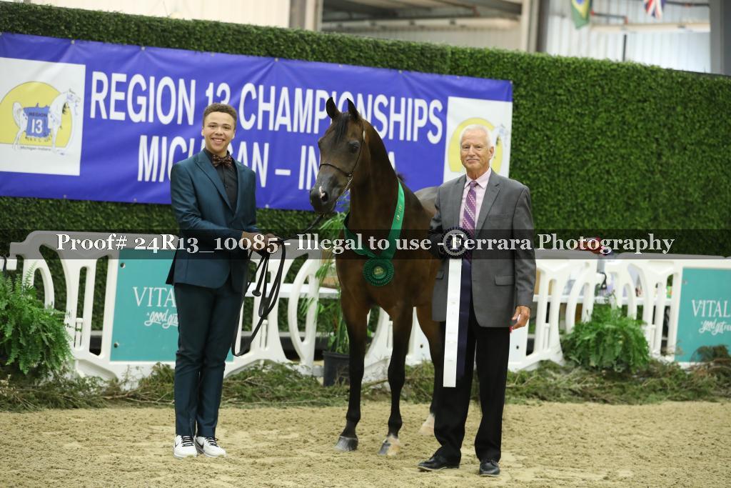 Proof 24R13_10085