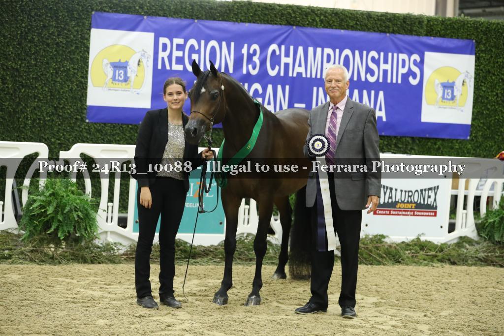 Proof 24R13_10088