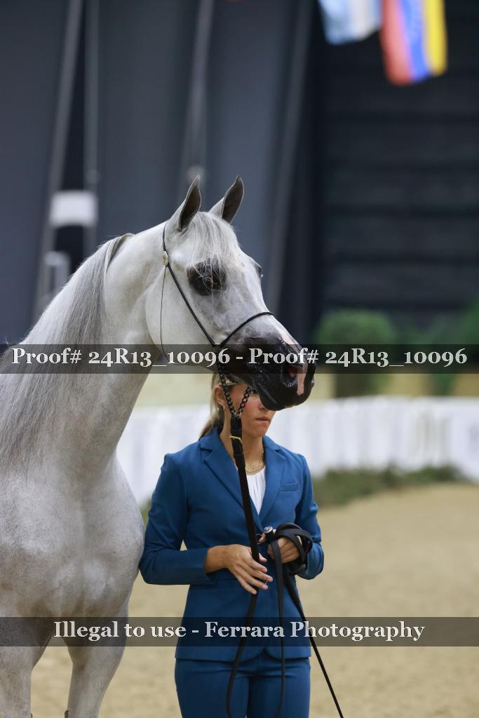 Proof 24R13_10096