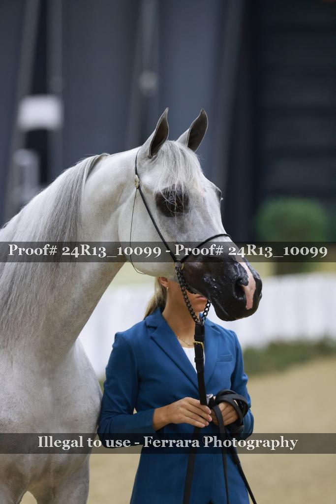Proof 24R13_10099