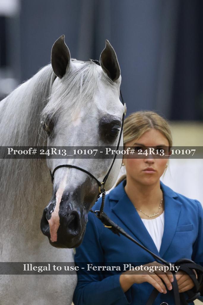 Proof 24R13_10107