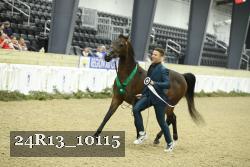 24R13_10115 proof