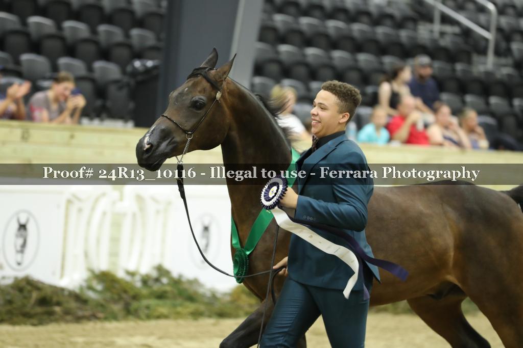 Proof 24R13_10116