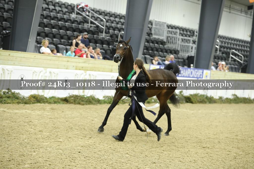 Proof 24R13_10118
