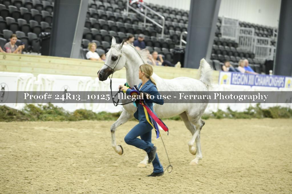 Proof 24R13_10125