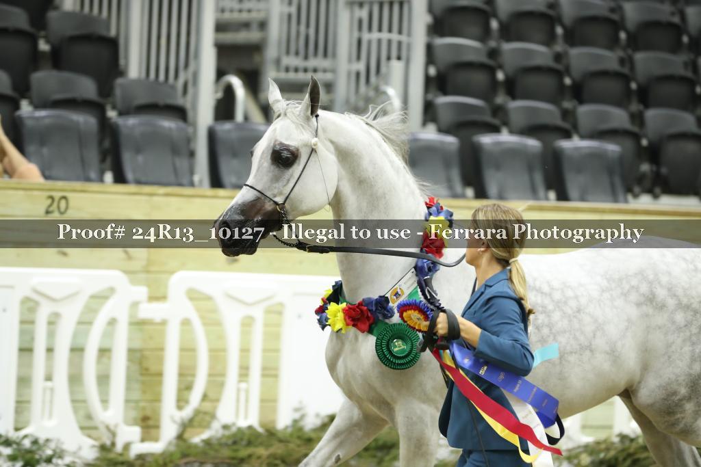 Proof 24R13_10127