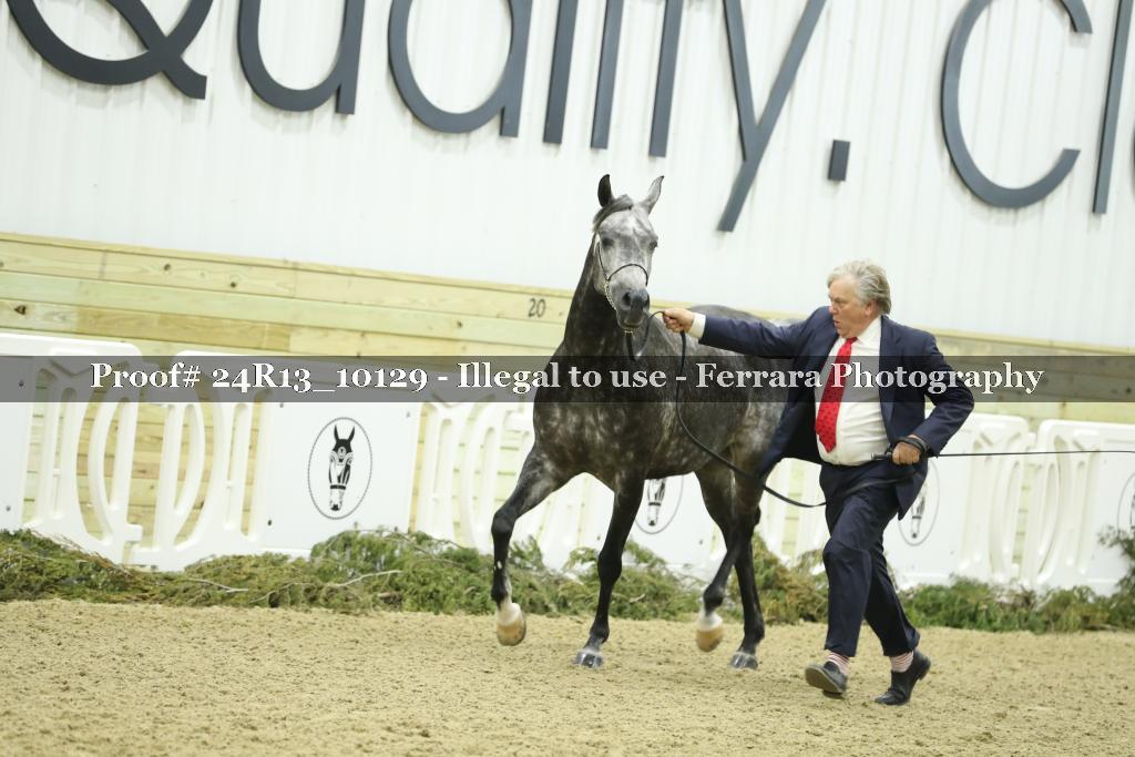Proof 24R13_10129