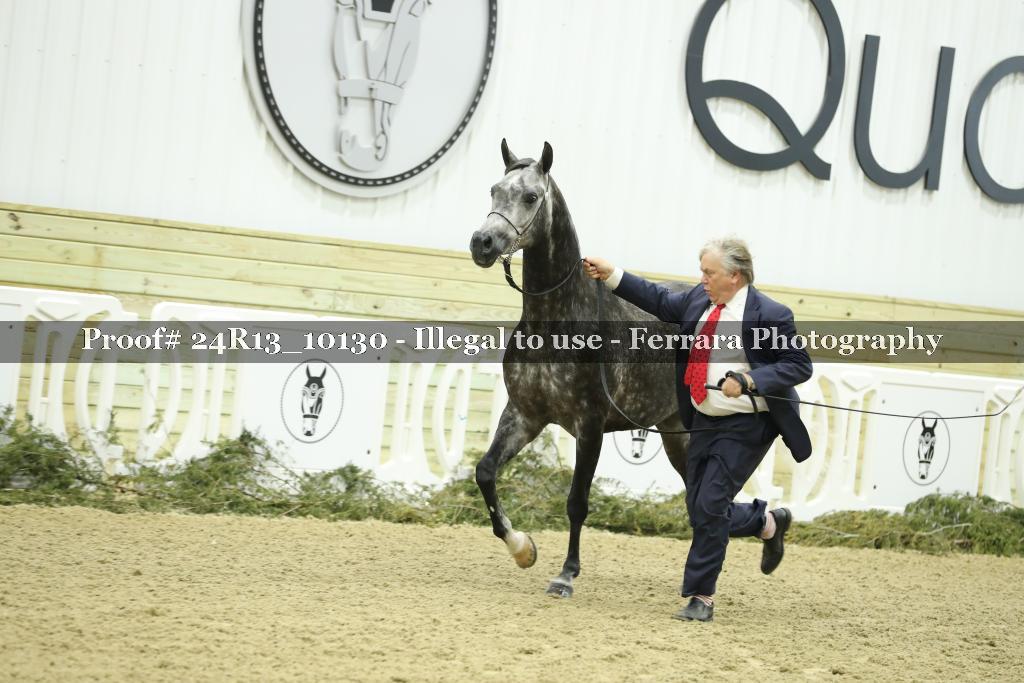 Proof 24R13_10130