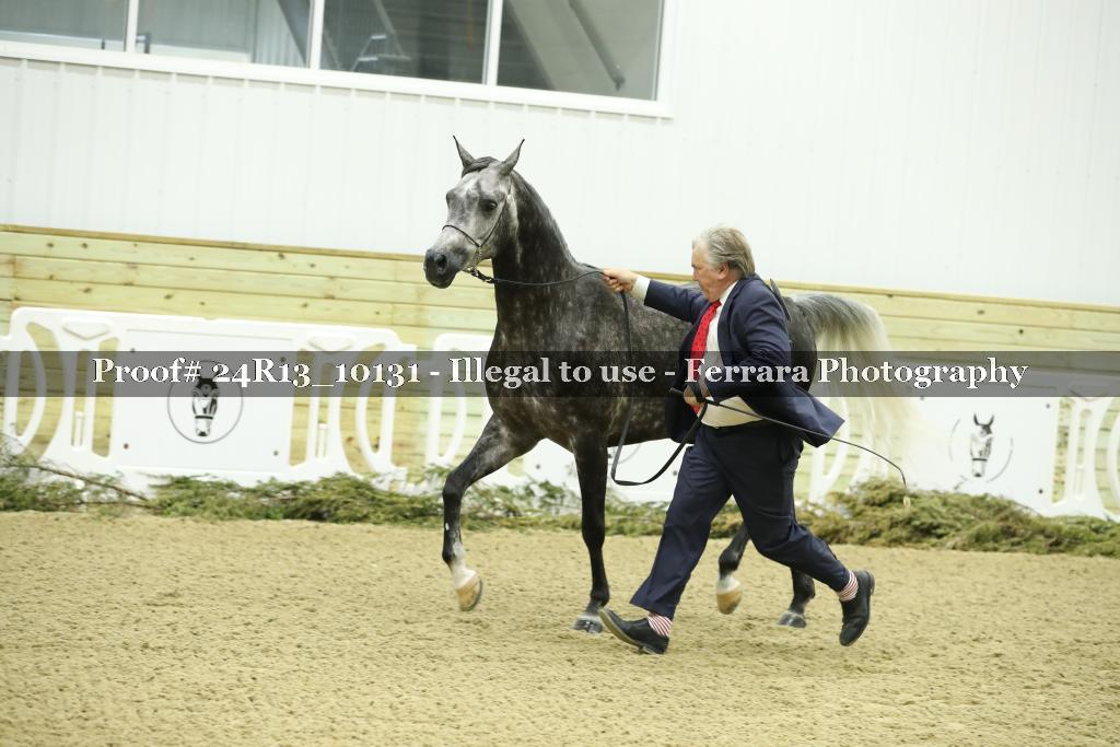 Proof 24R13_10131