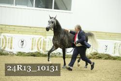 24R13_10131 proof