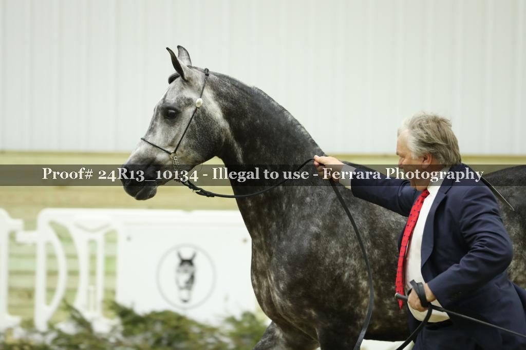 Proof 24R13_10134