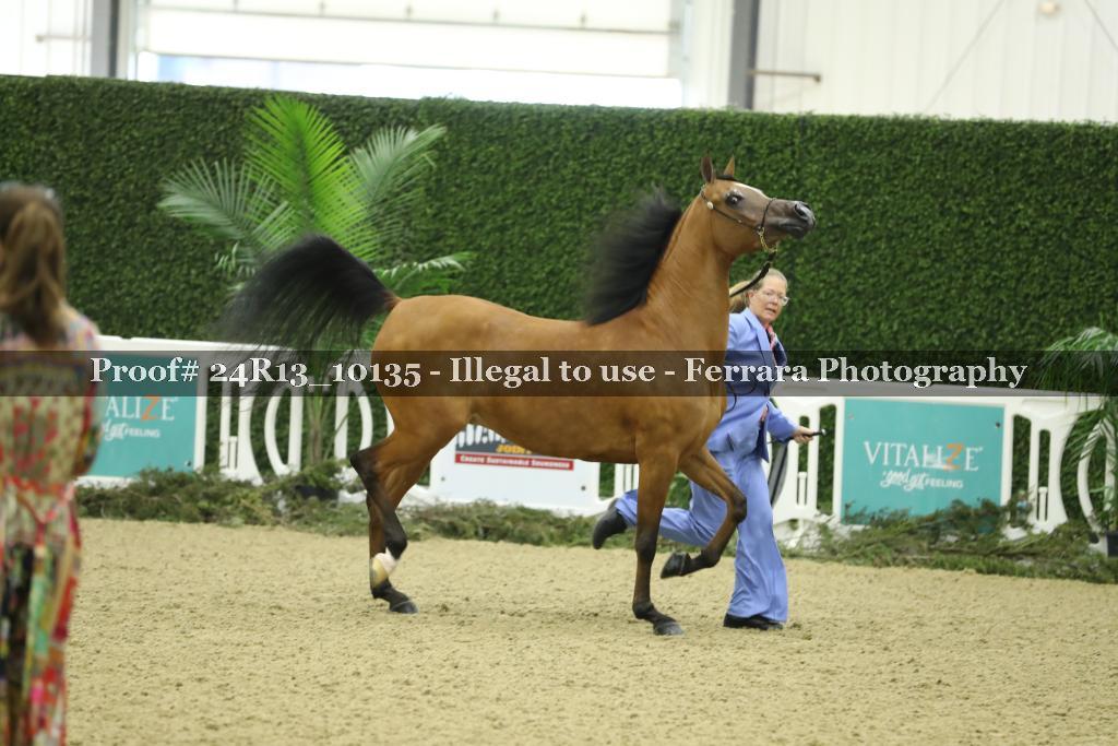 Proof 24R13_10135