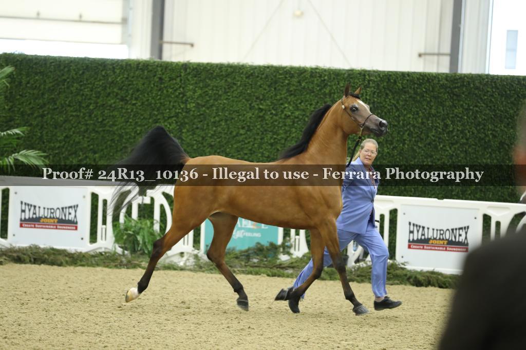 Proof 24R13_10136