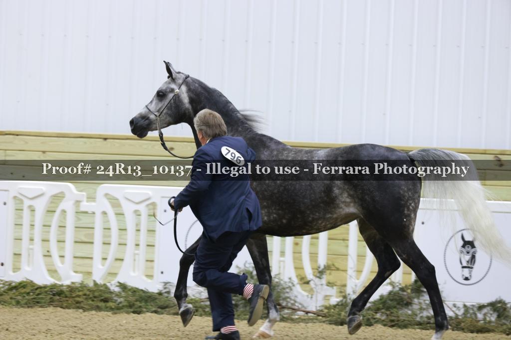Proof 24R13_10137