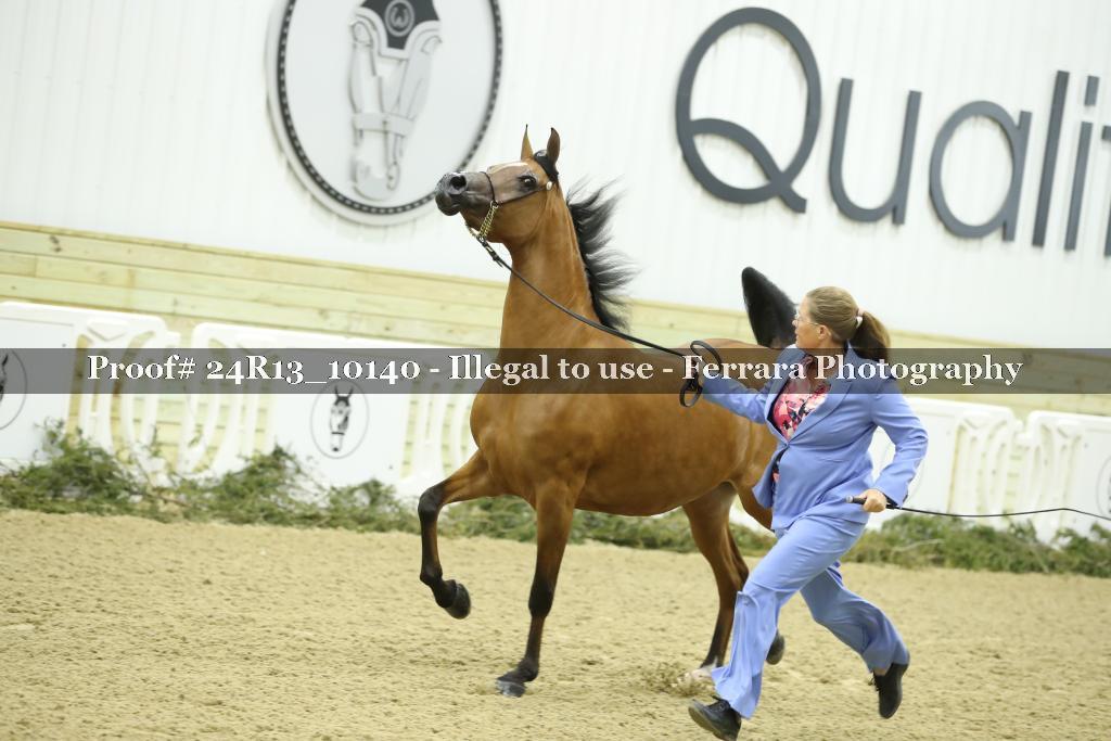Proof 24R13_10140