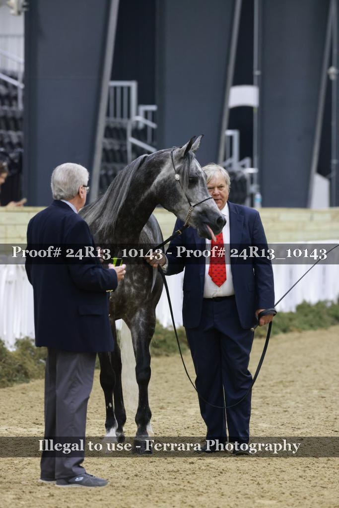 Proof 24R13_10143