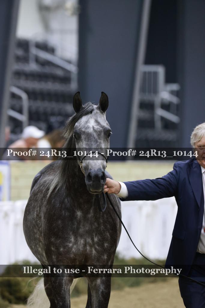 Proof 24R13_10144
