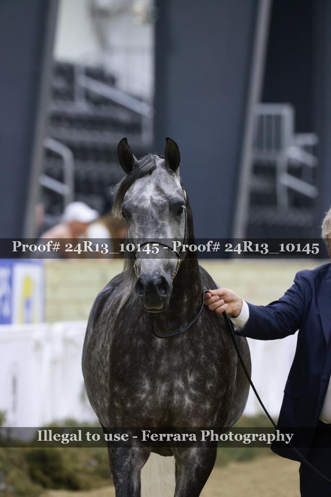 Proof 24R13_10145