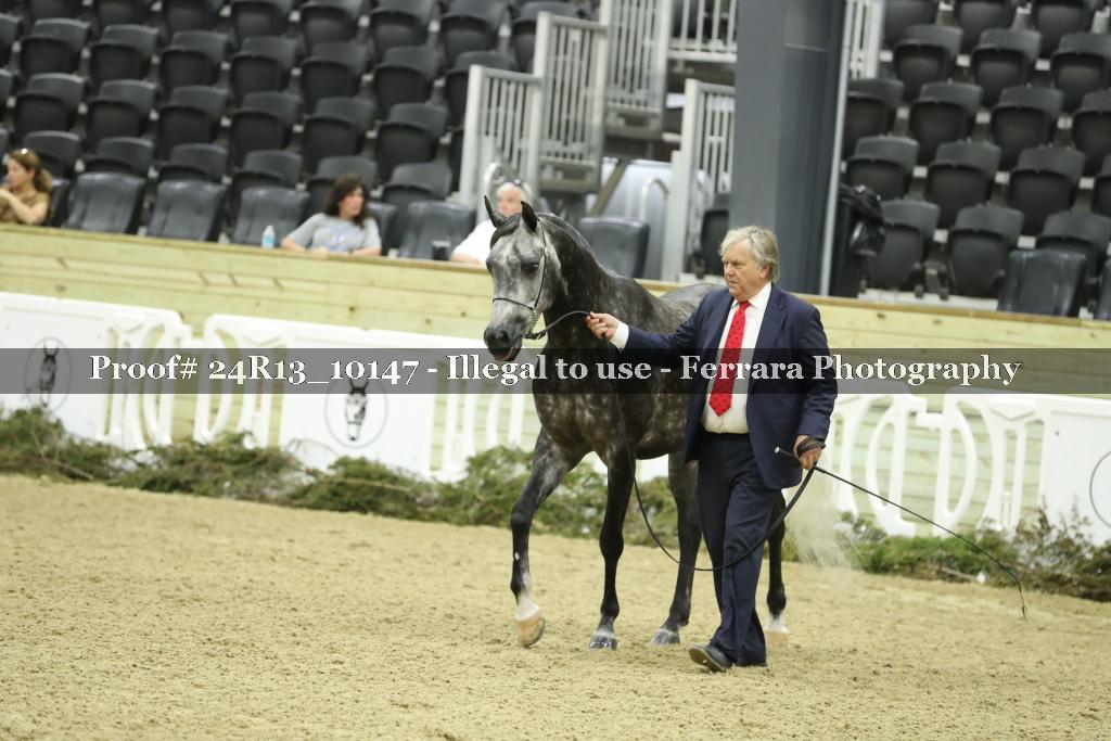 Proof 24R13_10147