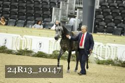 24R13_10147 proof