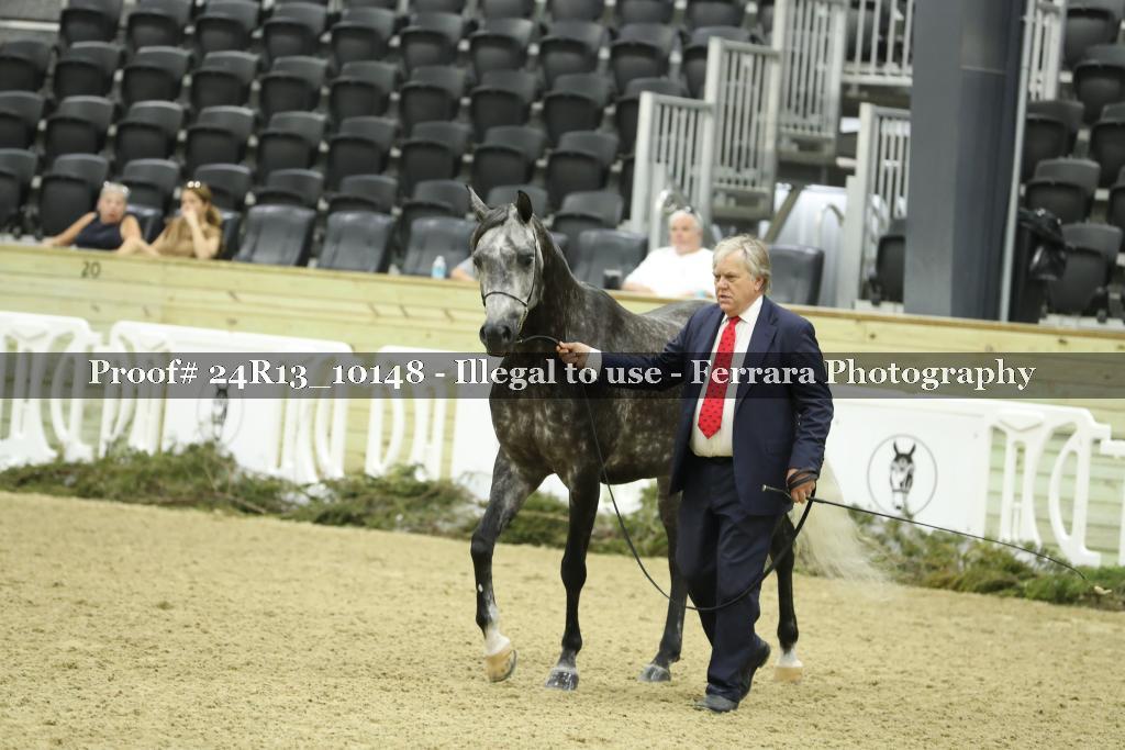 Proof 24R13_10148