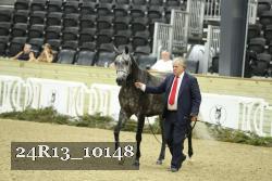 24R13_10148 proof