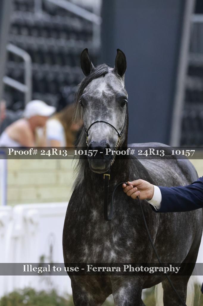 Proof 24R13_10157