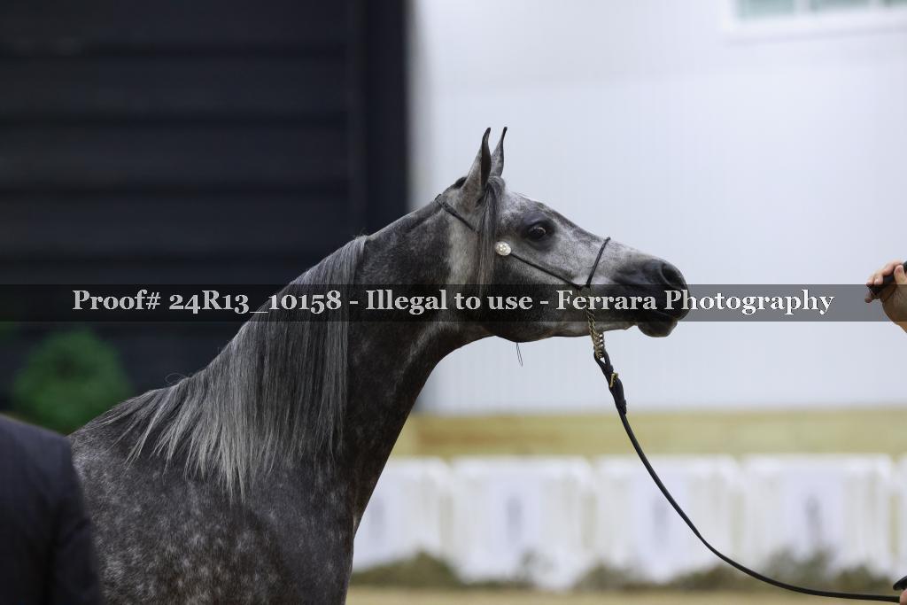 Proof 24R13_10158