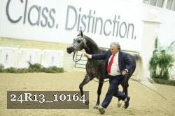 24R13_10164 proof