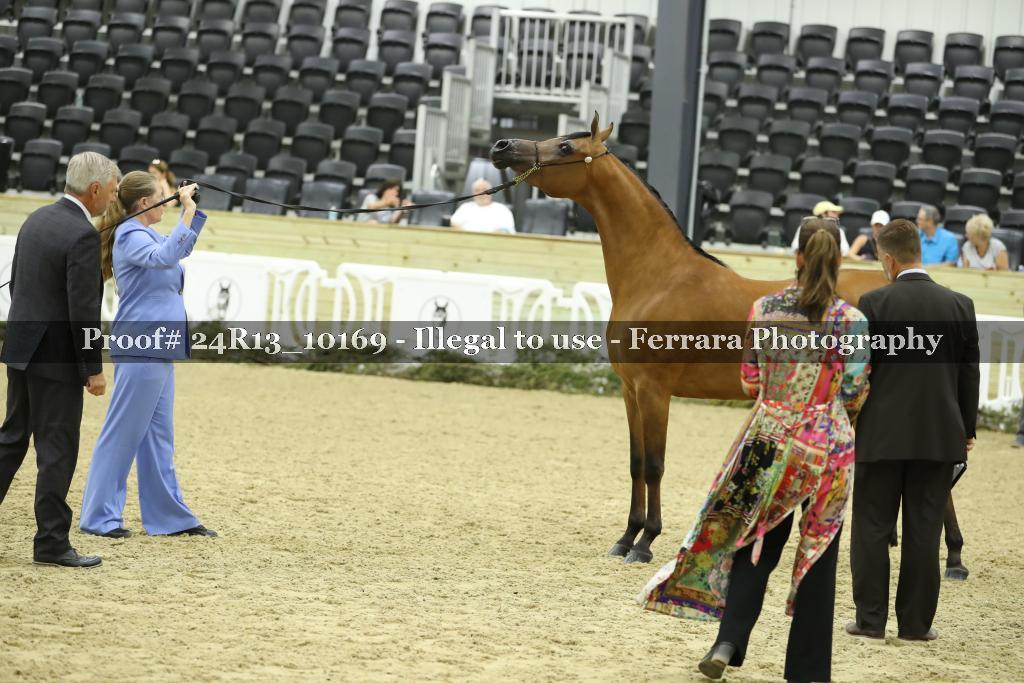 Proof 24R13_10169