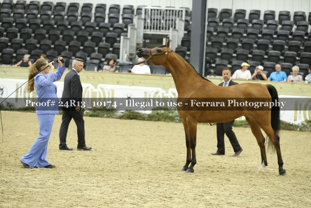 Proof 24R13_10174