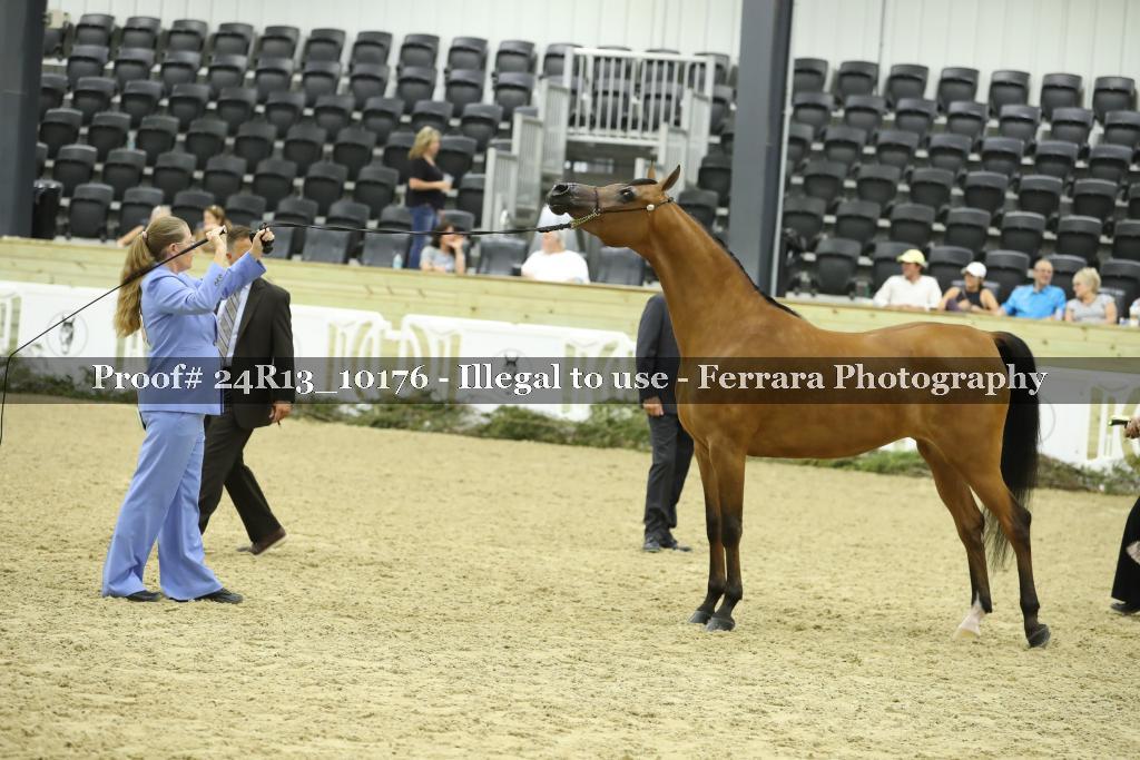 Proof 24R13_10176