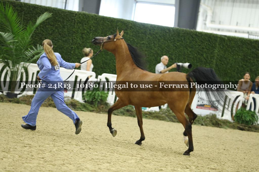 Proof 24R13_10180