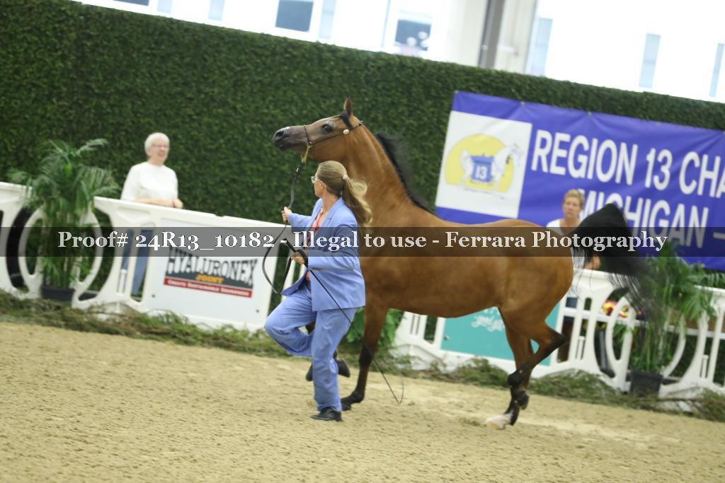 Proof 24R13_10182