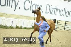 24R13_10183 proof